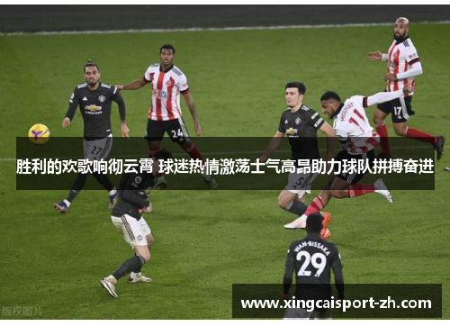 胜利的欢歌响彻云霄 球迷热情激荡士气高昂助力球队拼搏奋进