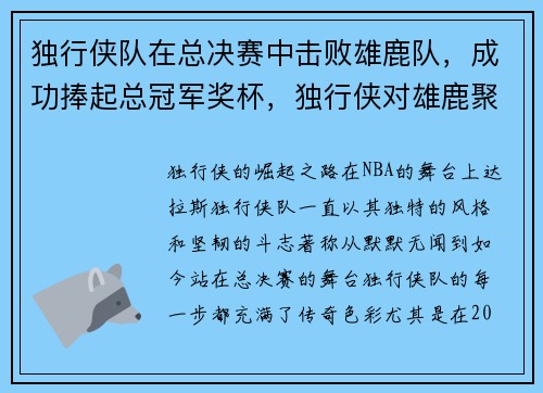 独行侠队在总决赛中击败雄鹿队，成功捧起总冠军奖杯，独行侠对雄鹿聚胜顽球汇