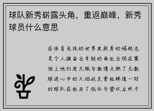 球队新秀崭露头角，重返巅峰，新秀球员什么意思