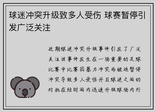 球迷冲突升级致多人受伤 球赛暂停引发广泛关注